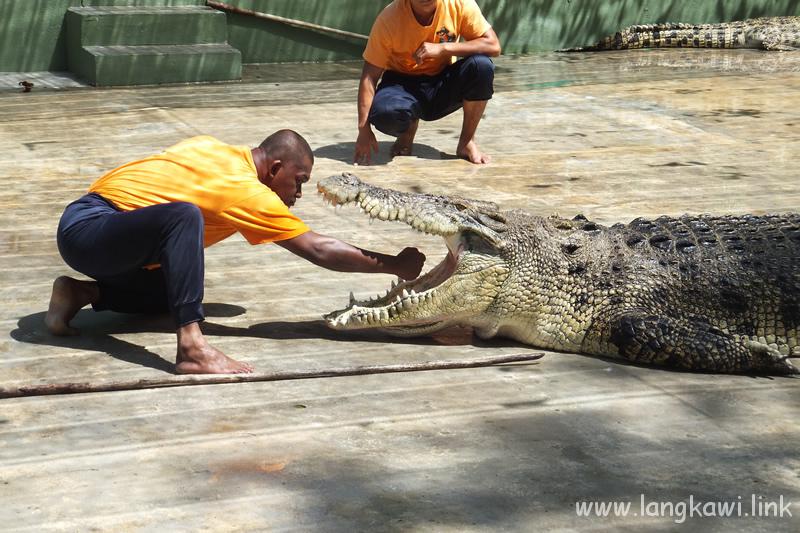 ランカウイ　クロコダイル　ファーム　(Langkawi Crocodile Farm)