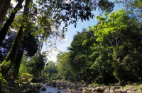 ルブック　スミラン公園 (Taman Rekreasi Lubuk Semilang)