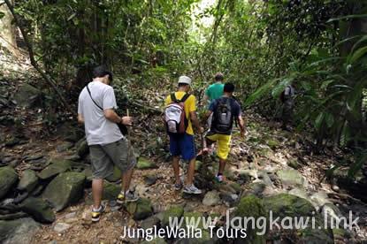 トレッキングツアー (Jungle Walla Tours)