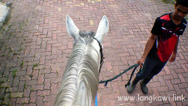 ランカウイ島で子供も楽しめる！おすすめ乗馬体験
