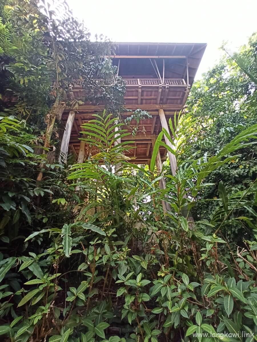 森の中に建つ客室棟
